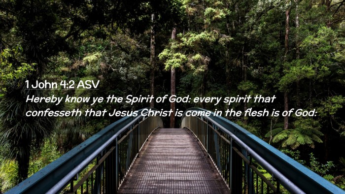 Picture 02 - 1 John 4:2 ASV Desktop Wallpaper - Hereby know ye the Spirit of God: every spirit - Desktop Bible Verse Wallpaper