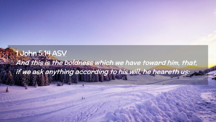 Picture 02 - 1 John 5:14 ASV Desktop Wallpaper - And this is the boldness which we have toward - Desktop Bible Verse Wallpaper