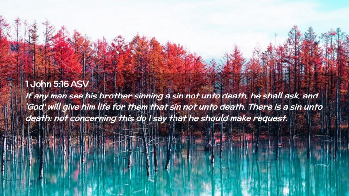 Picture 02 - 1 John 5:16 ASV Desktop Wallpaper - If any man see his brother sinning a sin not unto - Desktop Bible Verse Wallpaper