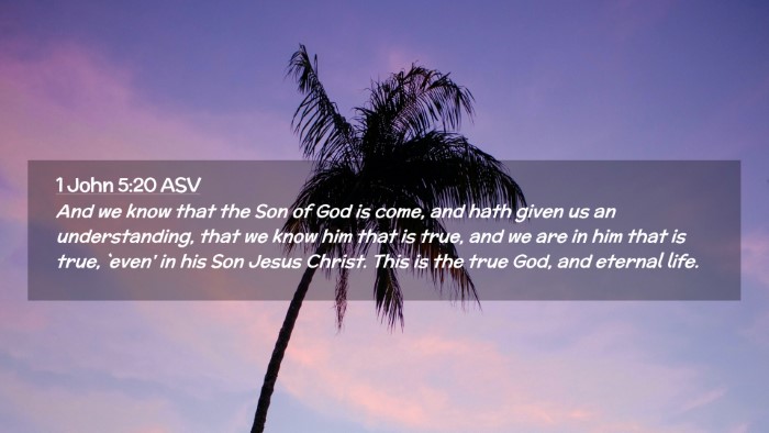 Picture 02 - 1 John 5:20 ASV Desktop Wallpaper - And we know that the Son of God is come, and hath - Desktop Bible Verse Wallpaper