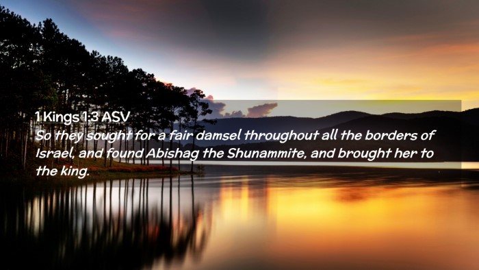Picture 02 - 1 Kings 1:3 ASV Desktop Wallpaper - So they sought for a fair damsel throughout all - Desktop Bible Verse Wallpaper