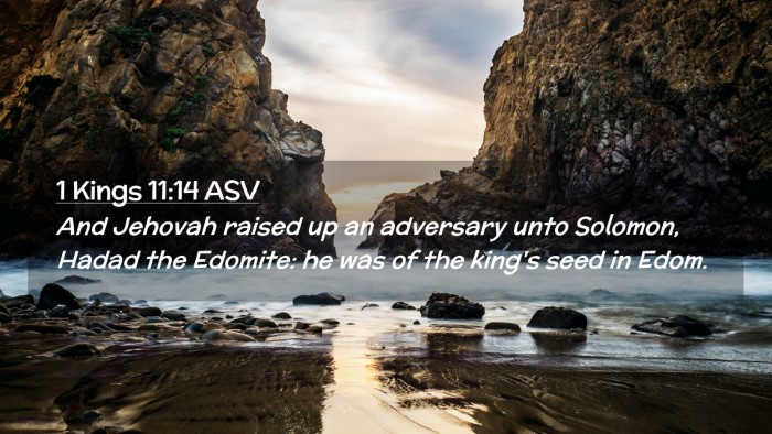 Picture 02 - 1 Kings 11:14 ASV Desktop Wallpaper - And Jehovah raised up an adversary unto Solomon, - Desktop Bible Verse Wallpaper
