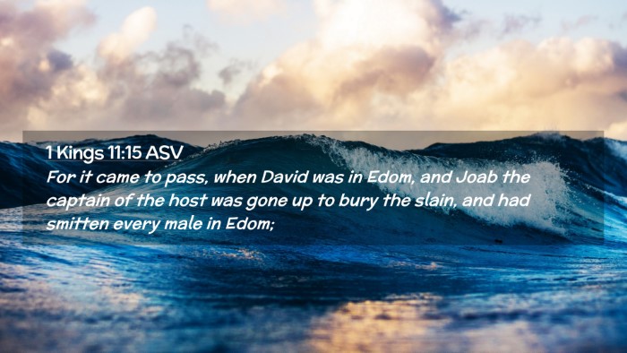 Picture 02 - 1 Kings 11:15 ASV Desktop Wallpaper - For it came to pass, when David was in Edom, and - Desktop Bible Verse Wallpaper
