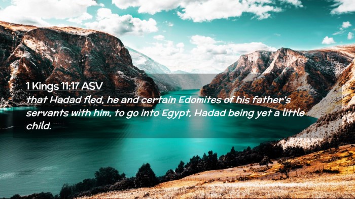 Picture 02 - 1 Kings 11:17 ASV Desktop Wallpaper - that Hadad fled, he and certain Edomites of his - Desktop Bible Verse Wallpaper