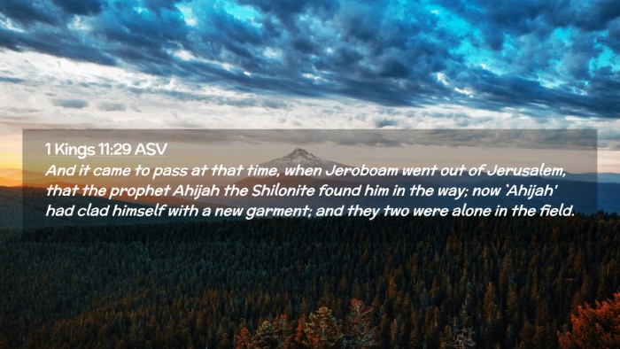 Picture 02 - 1 Kings 11:29 ASV Desktop Wallpaper - And it came to pass at that time, when Jeroboam - Desktop Bible Verse Wallpaper
