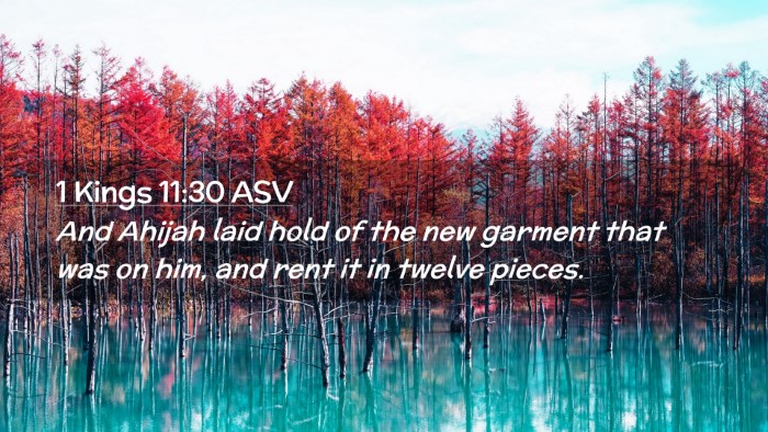 Picture 02 - 1 Kings 11:30 ASV Desktop Wallpaper - And Ahijah laid hold of the new garment that was - Desktop Bible Verse Wallpaper