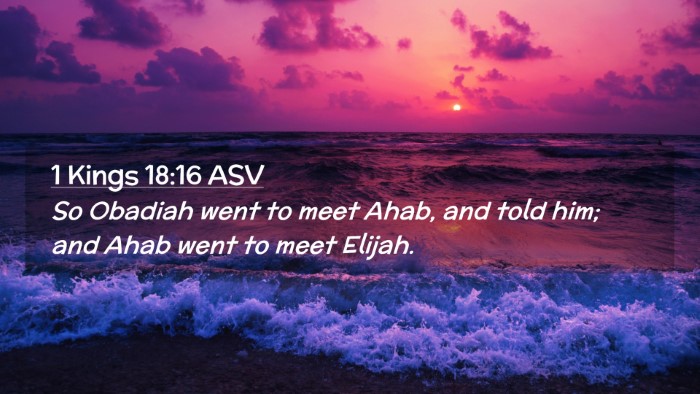 Picture 02 - 1 Kings 18:16 ASV Desktop Wallpaper - So Obadiah went to meet Ahab, and told him; and - Desktop Bible Verse Wallpaper