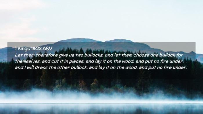 Picture 02 - 1 Kings 18:23 ASV Desktop Wallpaper - Let them therefore give us two bullocks; and let - Desktop Bible Verse Wallpaper