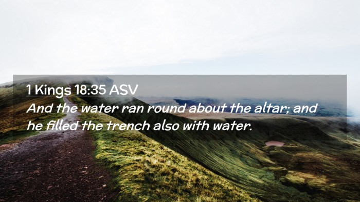 Picture 02 - 1 Kings 18:35 ASV Desktop Wallpaper - And the water ran round about the altar; and he - Desktop Bible Verse Wallpaper