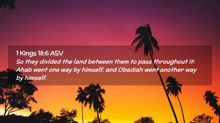 Picture 02 - 1 Kings 18:6 ASV Desktop Wallpaper - So they divided the land between them to pass - Desktop Bible Verse Wallpaper