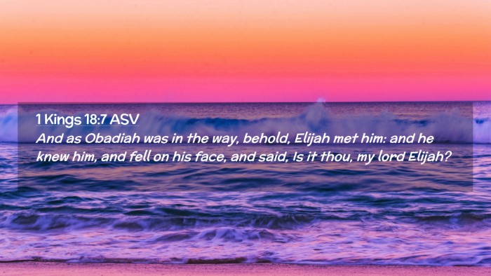 Picture 02 - 1 Kings 18:7 ASV Desktop Wallpaper - And as Obadiah was in the way, behold, Elijah met - Desktop Bible Verse Wallpaper