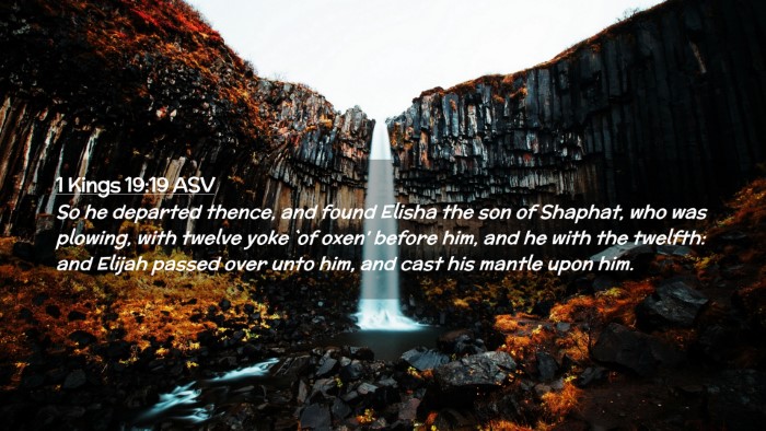 Picture 02 - 1 Kings 19:19 ASV Desktop Wallpaper - So he departed thence, and found Elisha the son - Desktop Bible Verse Wallpaper