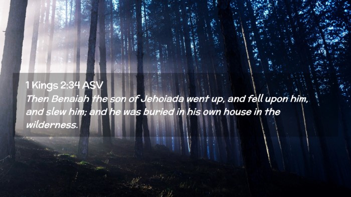 Picture 02 - 1 Kings 2:34 ASV Desktop Wallpaper - Then Benaiah the son of Jehoiada went up, and - Desktop Bible Verse Wallpaper