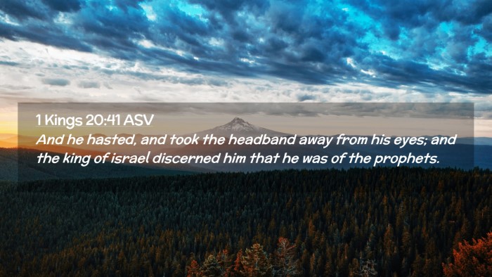 Picture 02 - 1 Kings 20:41 ASV Desktop Wallpaper - And he hasted, and took the headband away from - Desktop Bible Verse Wallpaper