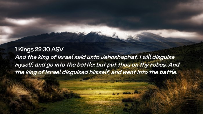 Picture 02 - 1 Kings 22:30 ASV Desktop Wallpaper - And the king of Israel said unto Jehoshaphat, I - Desktop Bible Verse Wallpaper