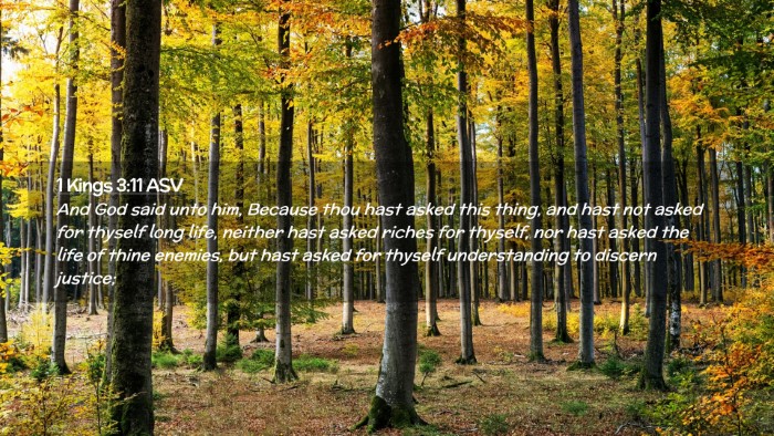 Picture 02 - 1 Kings 3:11 ASV Desktop Wallpaper - And God said unto him, Because thou hast asked - Desktop Bible Verse Wallpaper