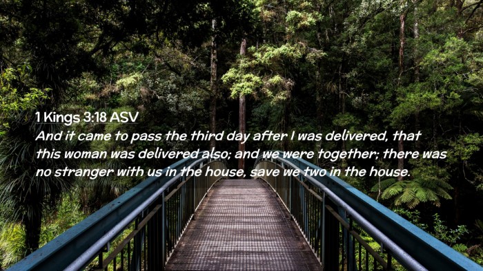 Picture 02 - 1 Kings 3:18 ASV Desktop Wallpaper - And it came to pass the third day after I was - Desktop Bible Verse Wallpaper