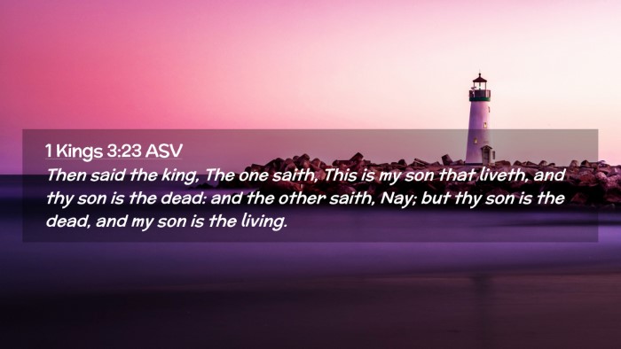 Picture 02 - 1 Kings 3:23 ASV Desktop Wallpaper - Then said the king, The one saith, This is my son - Desktop Bible Verse Wallpaper