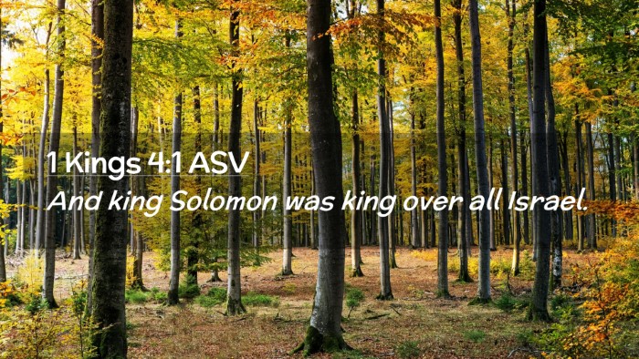 Picture 02 - 1 Kings 4:1 ASV Desktop Wallpaper - And king Solomon was king over all - Desktop Bible Verse Wallpaper