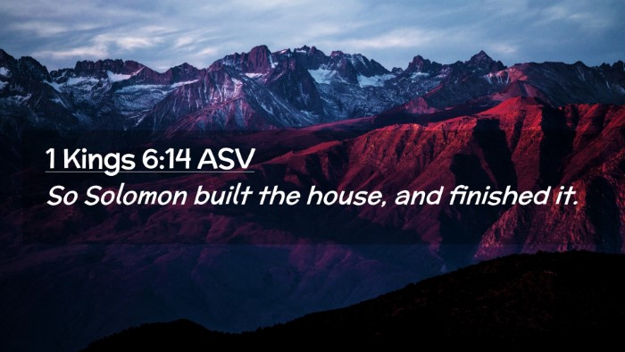 Picture 02 - 1 Kings 6:14 ASV Desktop Wallpaper - So Solomon built the house, and finished - Desktop Bible Verse Wallpaper
