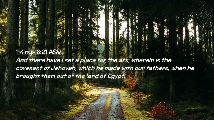 Picture 02 - 1 Kings 8:21 ASV Desktop Wallpaper - And there have I set a place for the ark, wherein - Desktop Bible Verse Wallpaper