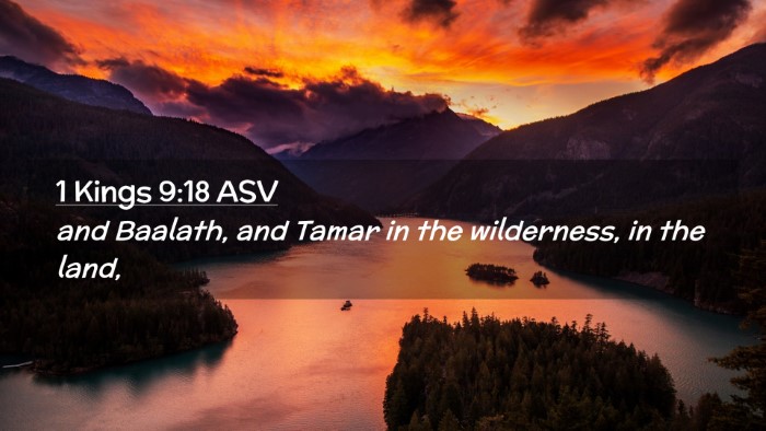 Picture 02 - 1 Kings 9:18 ASV Desktop Wallpaper - and Baalath, and Tamar in the wilderness, in the - Desktop Bible Verse Wallpaper
