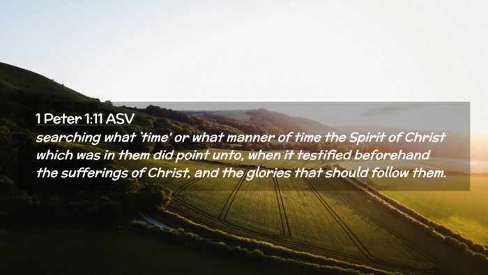 Picture 02 - 1 Peter 1:11 ASV Desktop Wallpaper - searching what `time' or what manner of time the - Desktop Bible Verse Wallpaper