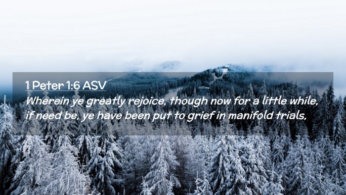 Picture 02 - 1 Peter 1:6 ASV Desktop Wallpaper - Wherein ye greatly rejoice, though now for a - Desktop Bible Verse Wallpaper