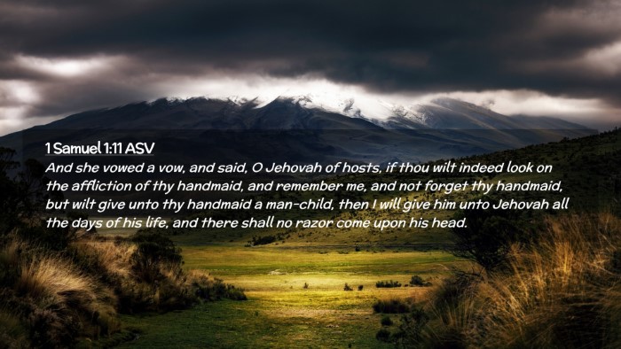 Picture 02 - 1 Samuel 1:11 ASV Desktop Wallpaper - And she vowed a vow, and said, O Jehovah of - Desktop Bible Verse Wallpaper