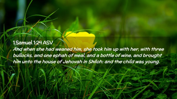 Picture 02 - 1 Samuel 1:24 ASV Desktop Wallpaper - And when she had weaned him, she took him up with - Desktop Bible Verse Wallpaper
