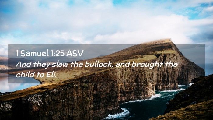 Picture 02 - 1 Samuel 1:25 ASV Desktop Wallpaper - And they slew the bullock, and brought the child - Desktop Bible Verse Wallpaper