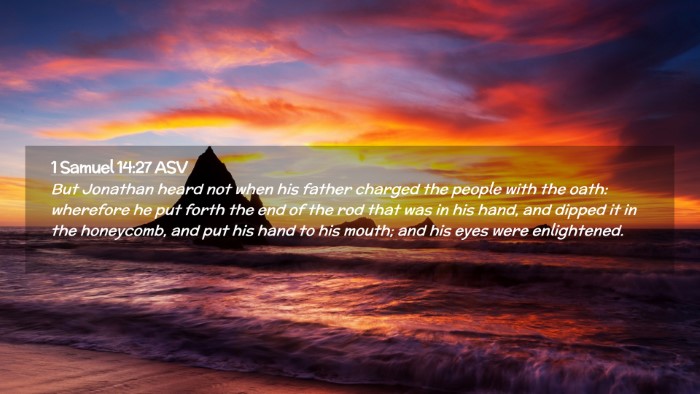 Picture 02 - 1 Samuel 14:27 ASV Desktop Wallpaper - But Jonathan heard not when his father charged - Desktop Bible Verse Wallpaper