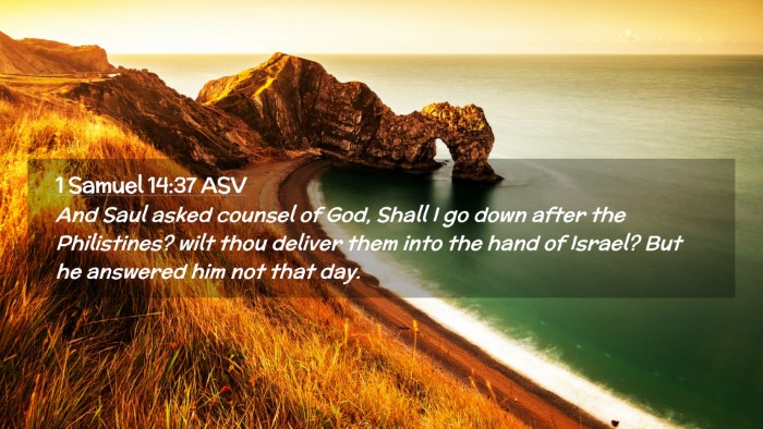 Picture 02 - 1 Samuel 14:37 ASV Desktop Wallpaper - And Saul asked counsel of God, Shall I go down - Desktop Bible Verse Wallpaper