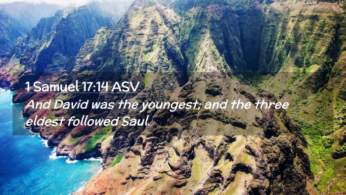 Picture 02 - 1 Samuel 17:14 ASV Desktop Wallpaper - And David was the youngest; and the three eldest - Desktop Bible Verse Wallpaper