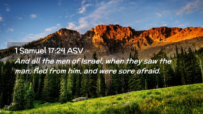 Picture 02 - 1 Samuel 17:24 ASV Desktop Wallpaper - And all the men of Israel, when they saw the man, - Desktop Bible Verse Wallpaper