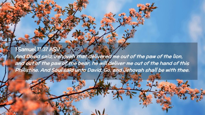 Picture 02 - 1 Samuel 17:37 ASV Desktop Wallpaper - And David said, Jehovah that delivered me out of - Desktop Bible Verse Wallpaper
