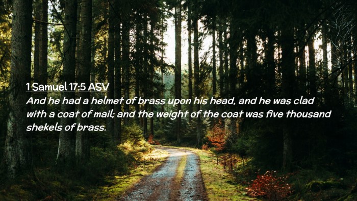 Picture 02 - 1 Samuel 17:5 ASV Desktop Wallpaper - And he had a helmet of brass upon his head, and - Desktop Bible Verse Wallpaper
