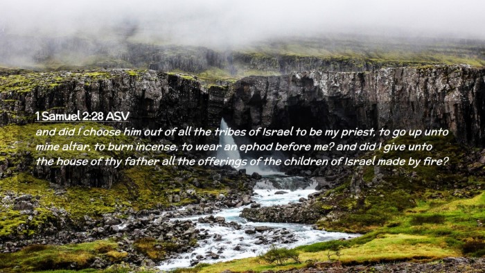 Picture 02 - 1 Samuel 2:28 ASV Desktop Wallpaper - and did I choose him out of all the tribes of - Desktop Bible Verse Wallpaper