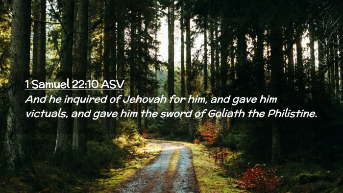 Picture 02 - 1 Samuel 22:10 ASV Desktop Wallpaper - And he inquired of Jehovah for him, and gave him - Desktop Bible Verse Wallpaper