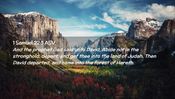 Picture 02 - 1 Samuel 22:5 ASV Desktop Wallpaper - And the prophet Gad said unto David, Abide not in - Desktop Bible Verse Wallpaper