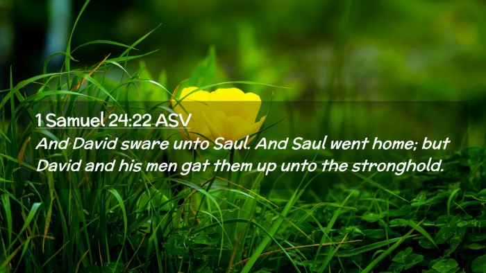 Picture 02 - 1 Samuel 24:22 ASV Desktop Wallpaper - And David sware unto Saul. And Saul went home; - Desktop Bible Verse Wallpaper