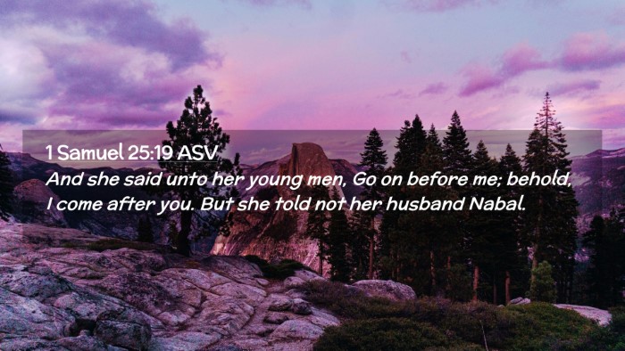 Picture 02 - 1 Samuel 25:19 ASV Desktop Wallpaper - And she said unto her young men, Go on before me; - Desktop Bible Verse Wallpaper