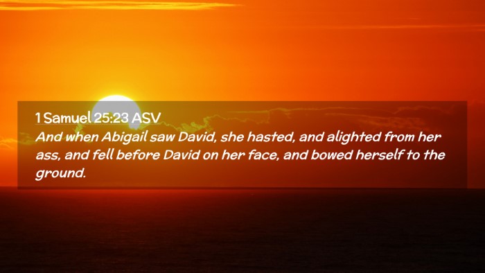 Picture 02 - 1 Samuel 25:23 ASV Desktop Wallpaper - And when Abigail saw David, she hasted, and - Desktop Bible Verse Wallpaper