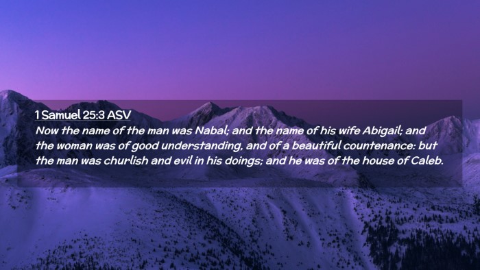 Picture 02 - 1 Samuel 25:3 ASV Desktop Wallpaper - Now the name of the man was Nabal; and the name - Desktop Bible Verse Wallpaper