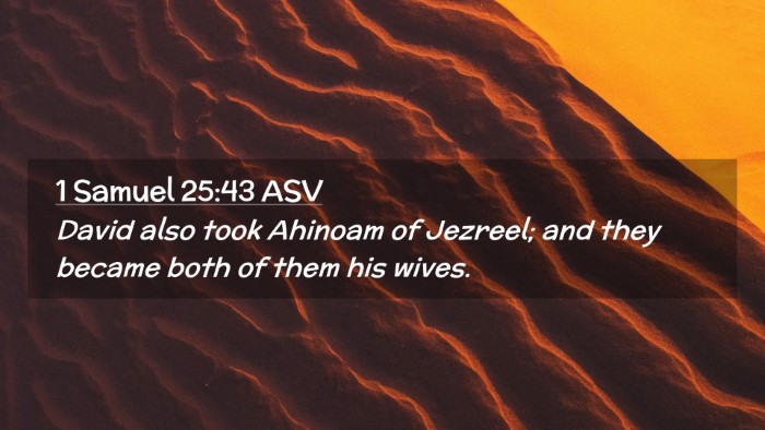 Picture 02 - 1 Samuel 25:43 ASV Desktop Wallpaper - David also took Ahinoam of Jezreel; and they - Desktop Bible Verse Wallpaper