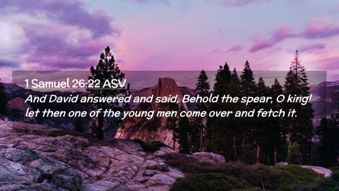 Picture 02 - 1 Samuel 26:22 ASV Desktop Wallpaper - And David answered and said, Behold the spear, O - Desktop Bible Verse Wallpaper