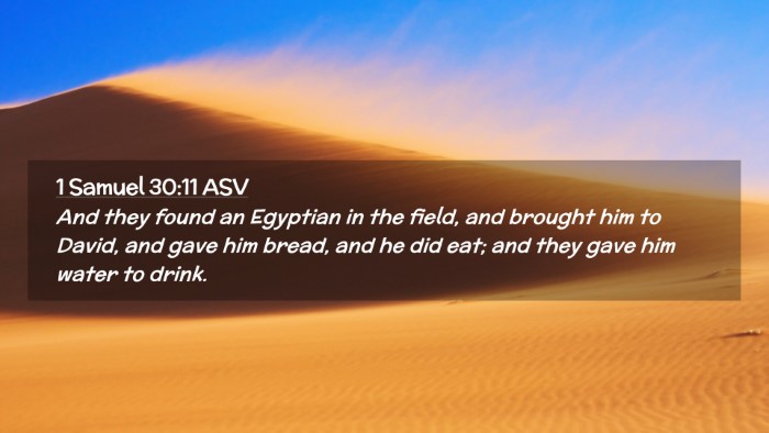 Picture 02 - 1 Samuel 30:11 ASV Desktop Wallpaper - And they found an Egyptian in the field, and - Desktop Bible Verse Wallpaper