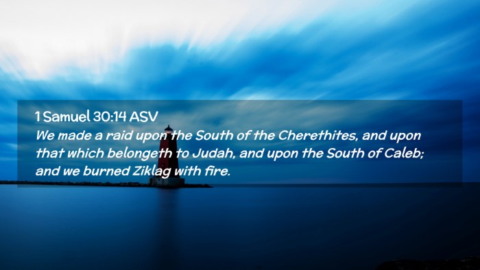 Picture 02 - 1 Samuel 30:14 ASV Desktop Wallpaper - We made a raid upon the South of the Cherethites, - Desktop Bible Verse Wallpaper
