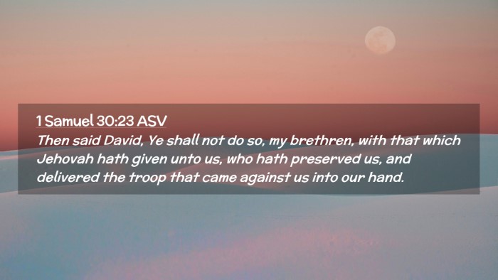 Picture 02 - 1 Samuel 30:23 ASV Desktop Wallpaper - Then said David, Ye shall not do so, my brethren, - Desktop Bible Verse Wallpaper