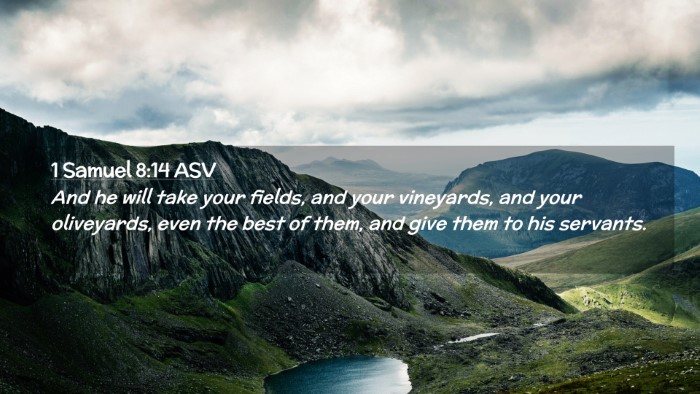 Picture 02 - 1 Samuel 8:14 ASV Desktop Wallpaper - And he will take your fields, and your vineyards, - Desktop Bible Verse Wallpaper